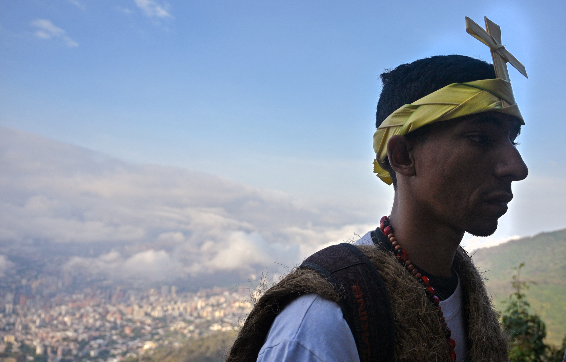 palmeros de Chacao