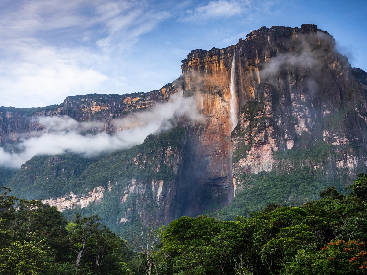 Fotógrafo Juan Diasparra expone la asombrosa biodiversidad desde lo profundo de Venezuela, un país que lo ha dado todo