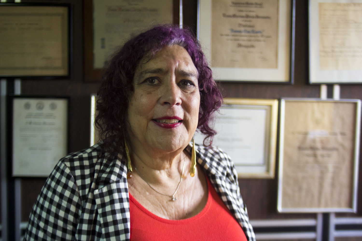 Tamara Adrián: Quizá fue un error candidatos inhabilitados en la primaria