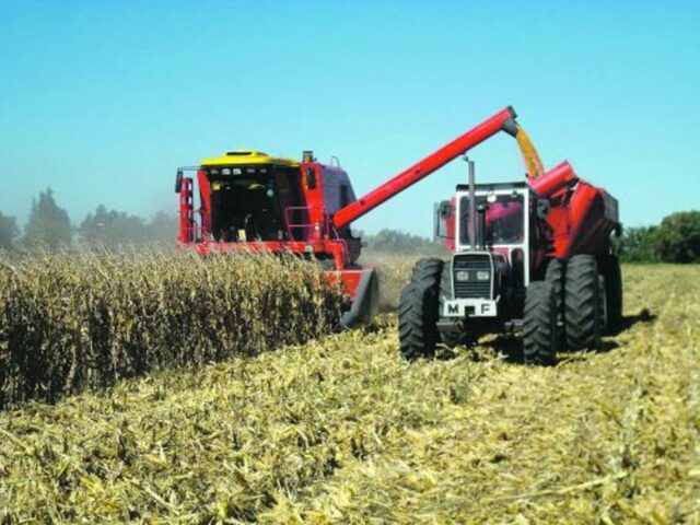 Fedeagro: Precios acordados deben revisarse semanal o quincenalmente