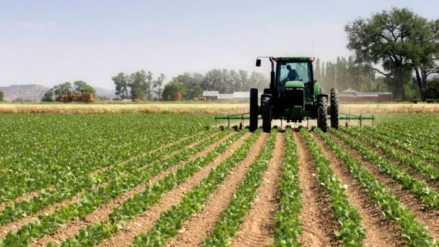 Sector agrícola requiere 1.000 millones de dólares para cumplir metas, dice Fedeagro