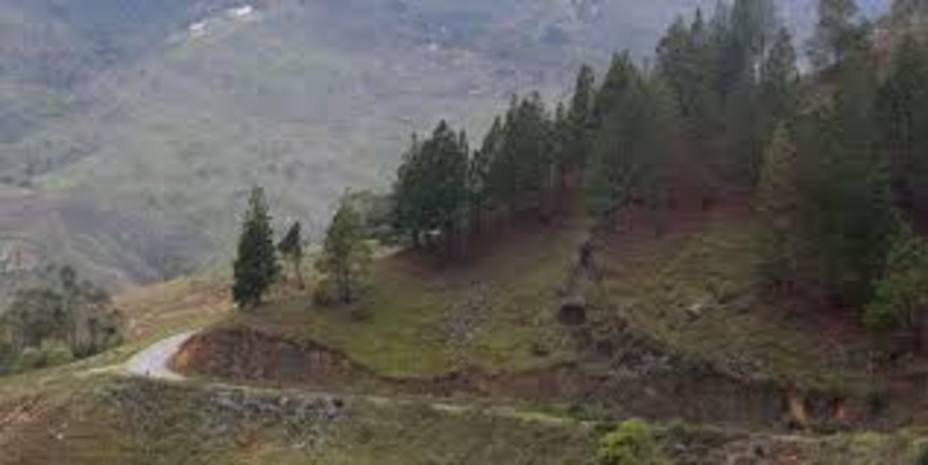 incomunicados-productores-agricolas-carayaca_255462.jpg