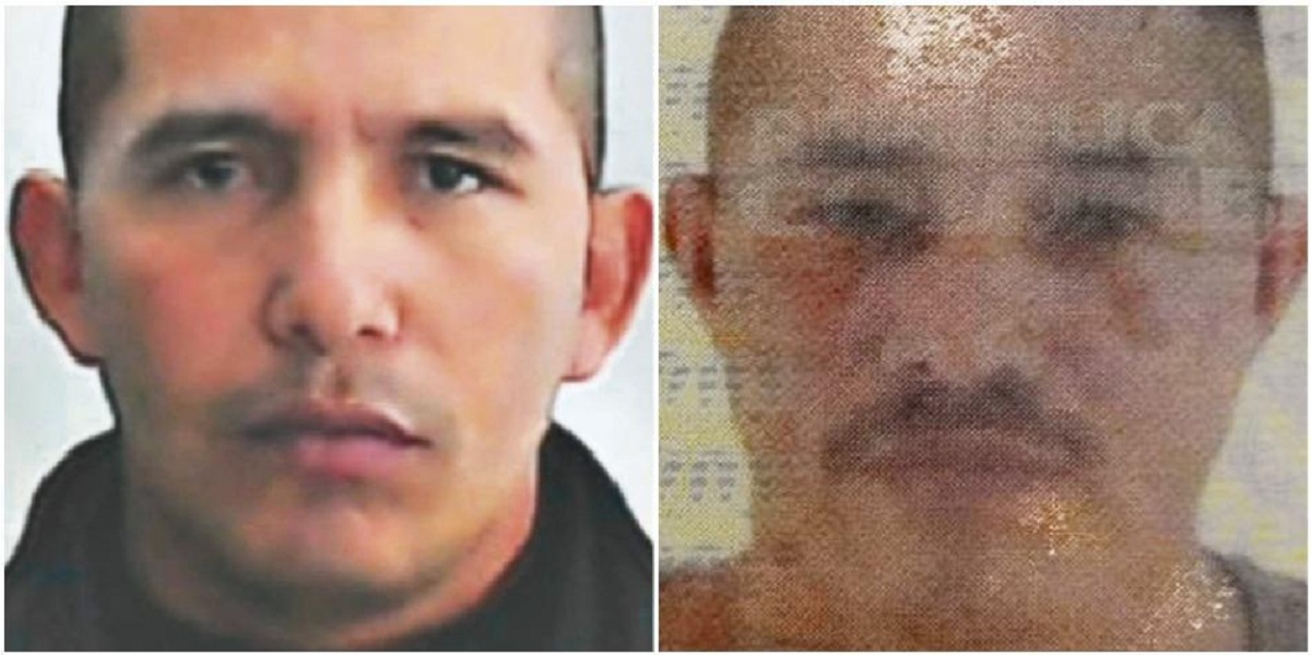 guerrilleros de la FARC