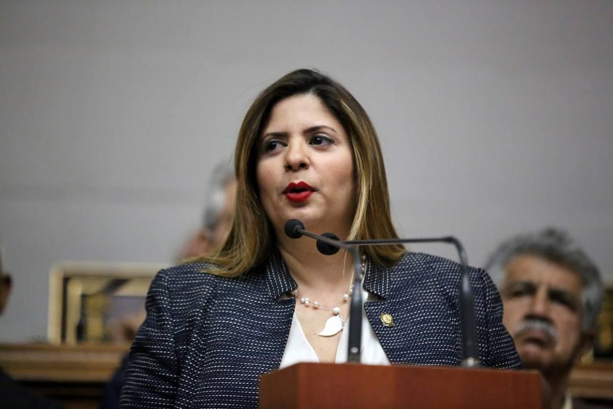 Nora Bracho: Reforma de la Ley del Servicio Eléctrico debe estar orientada a mitigar la crisis