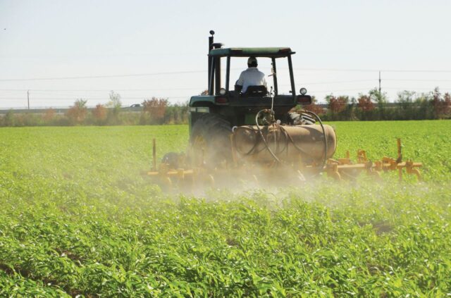 Fedeagro: Crédito bancario del gobierno es insuficiente para cubrir la producción de invierno