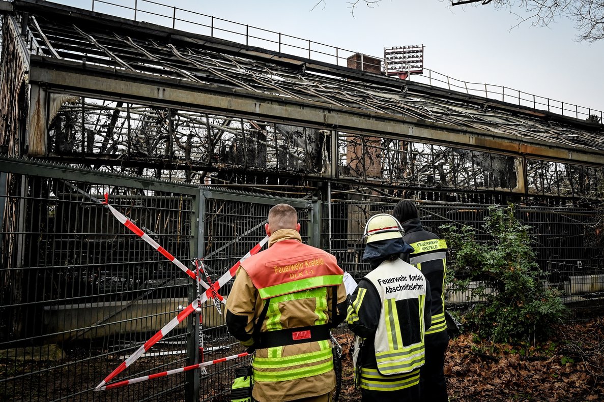 Zoo de Krefeld