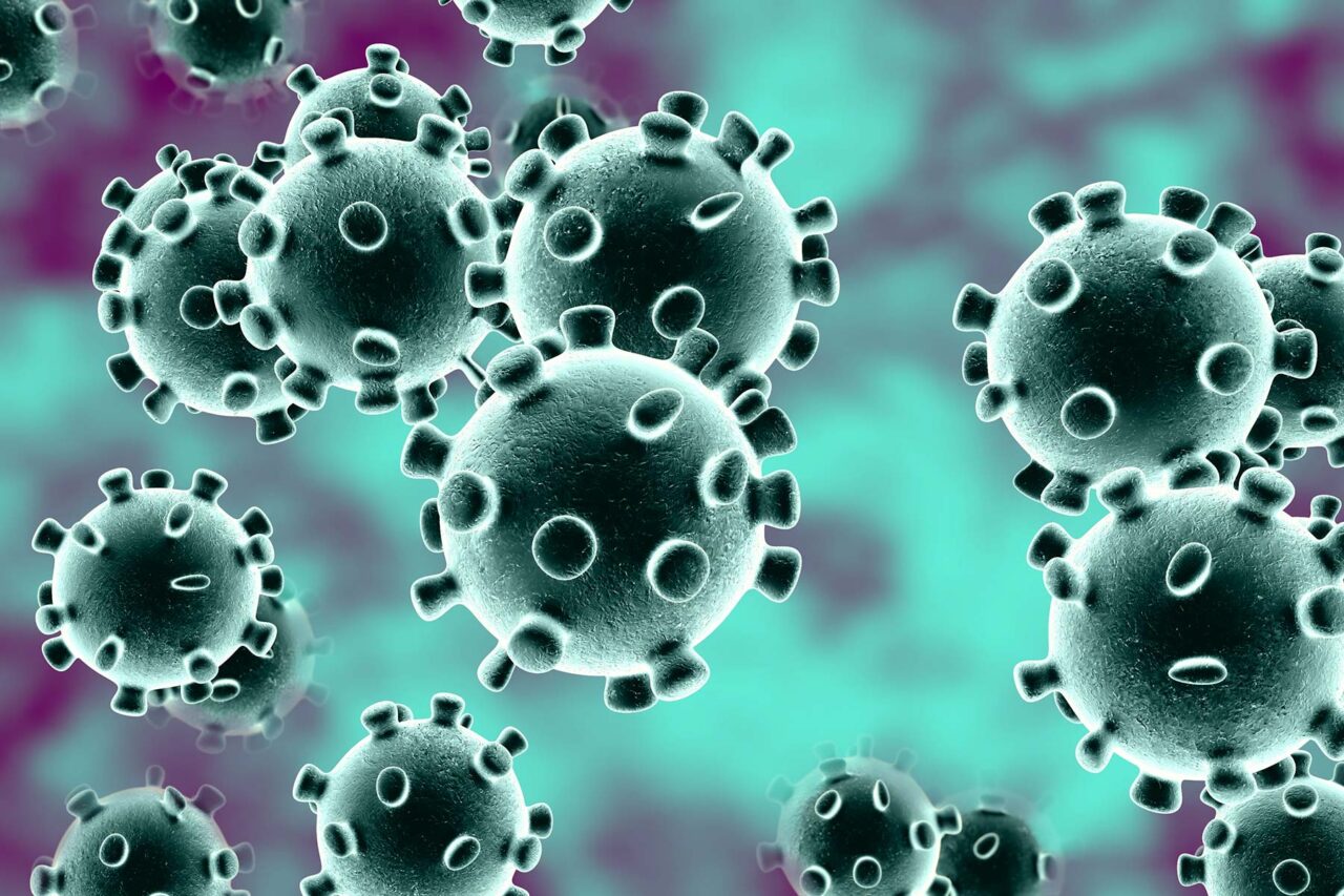 Nuevo coronavirus