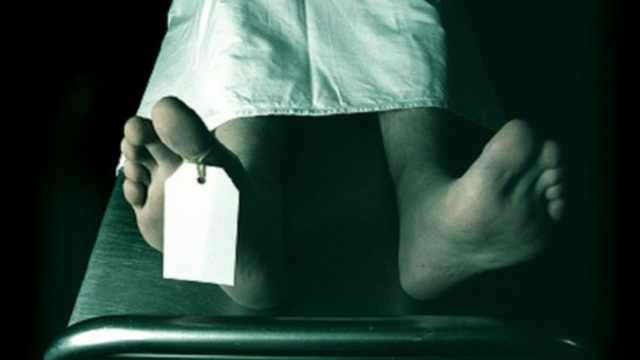 El escándalo de los cuerpos donados a la ciencia dejados a merced de las ratas