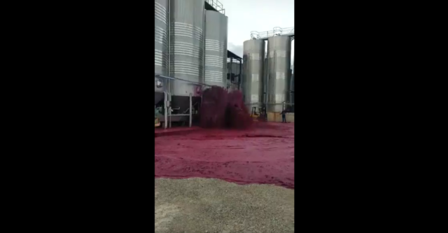 [VIDEO] Se perdieron 50.000 litros de vino por tanque de almacenamiento roto