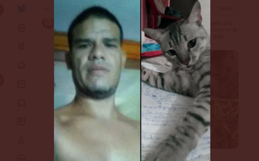 Hombre mató, despellejó y luego se comió a "Paquito", el gato de su vecino