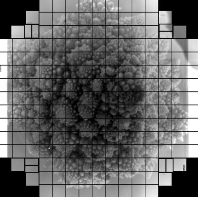 La imagen de 3.200 megapíxeles que se tomó con la “cámara digital más grande del mundo”