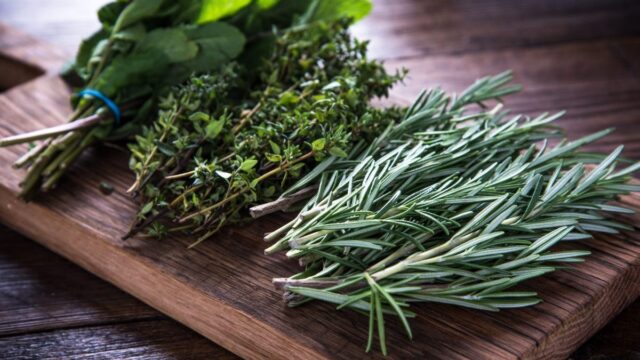 10 hierbas con las que se puede realizar remedios caseros rápidos