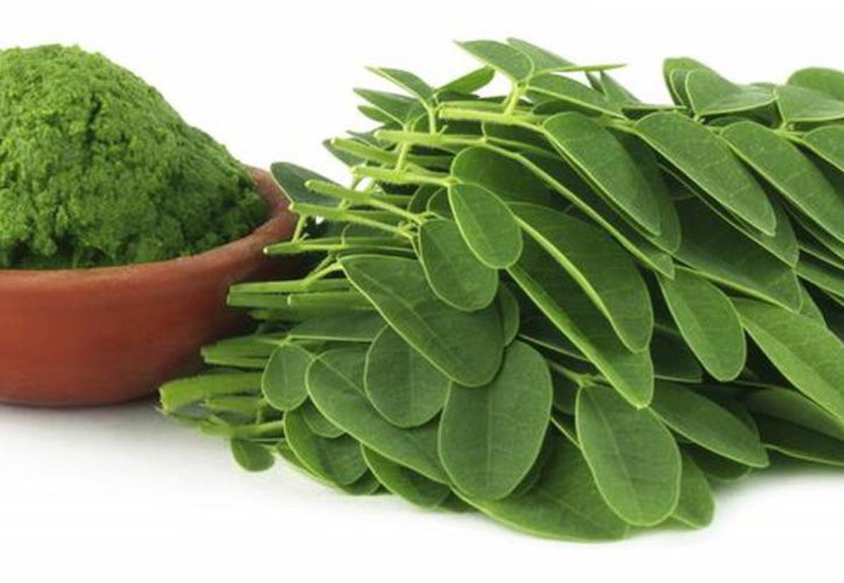 La Moringa