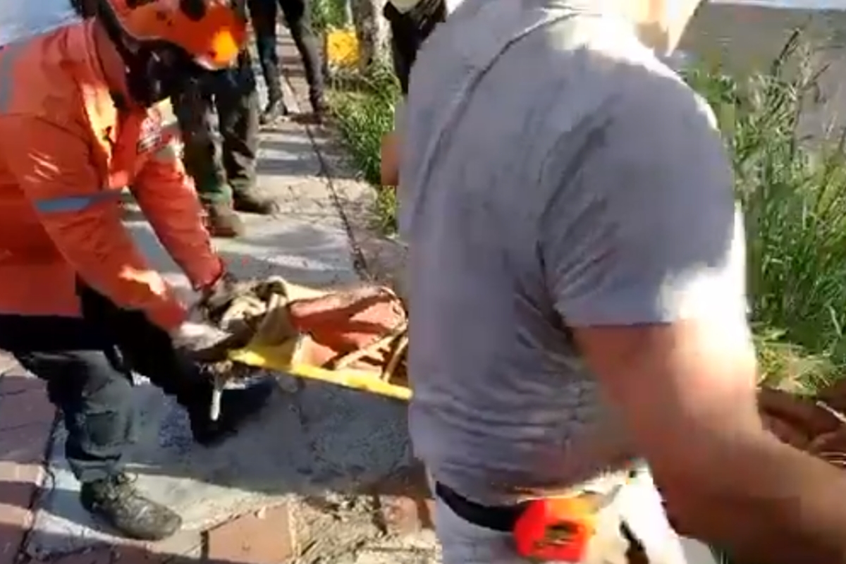 niño que cayó al río san pedro de Los Teques