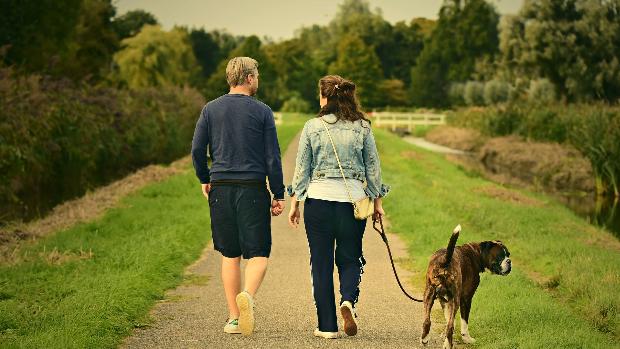 Una pareja acuerda la custodia compartida de su perro en su divorcio