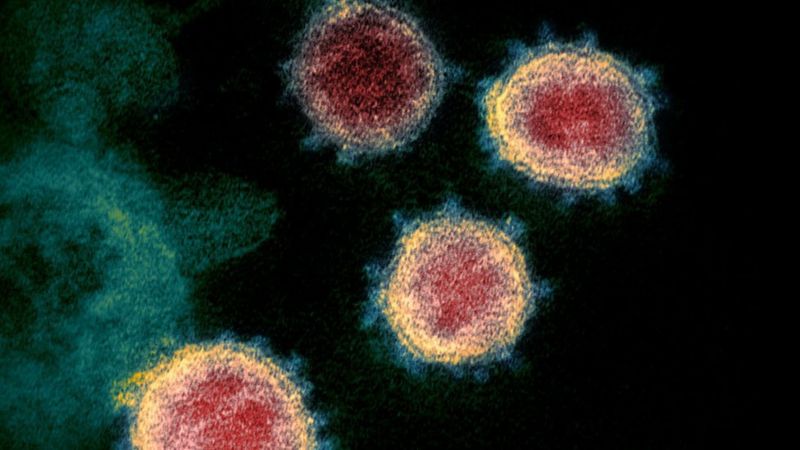 coronavirus