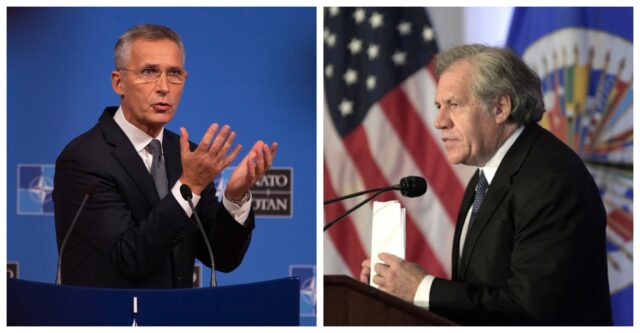 La OEA y la OTAN felicitaron a Joe Biden y Kamala Harris