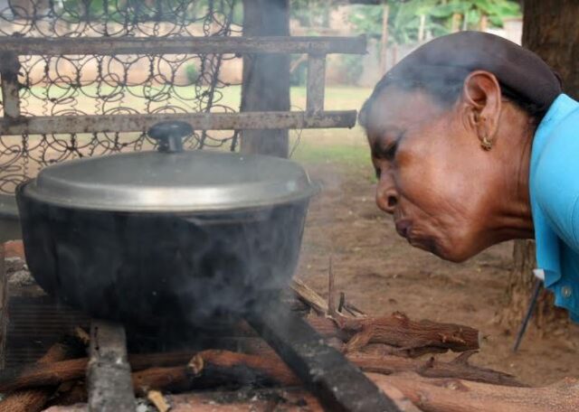 Latinoamérica requiere 7.700 millones de dólares para dejar de cocinar a leña para 2035