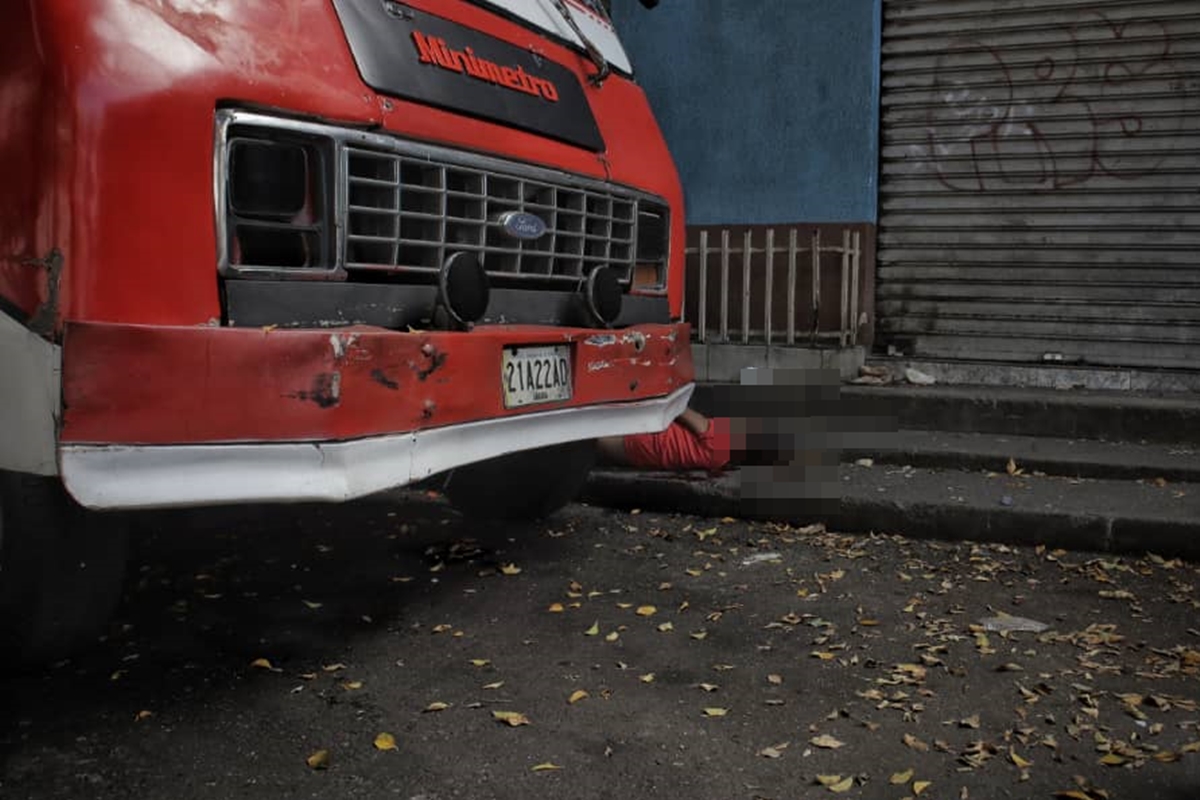los dos caminos