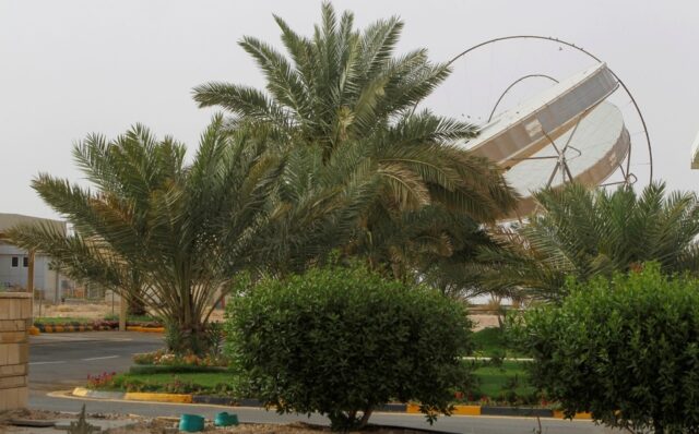 Arabia Saudita plantará millones de árboles para luchar contra el cambio climático