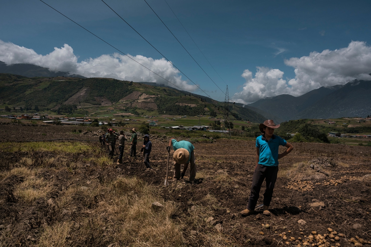 producción agrícola