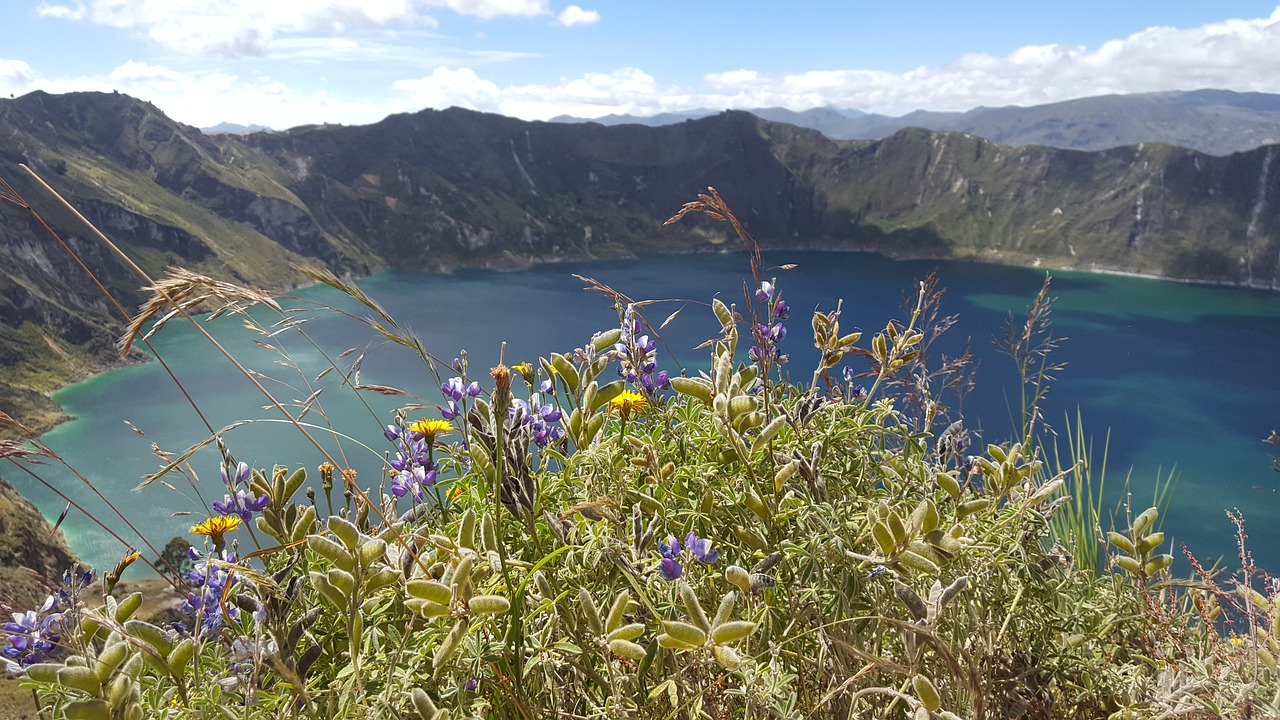 pixabay-paisaje