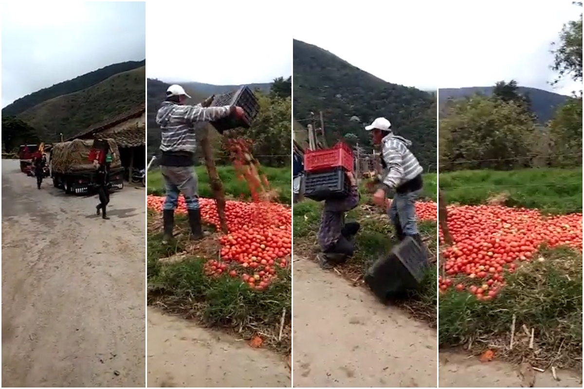 productores-merida