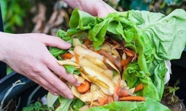 La UE no debería producir más alimentos frente a escasez alimentaria, advierte el Fondo Mundial para la Naturaleza