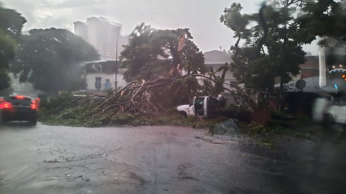 lluvias