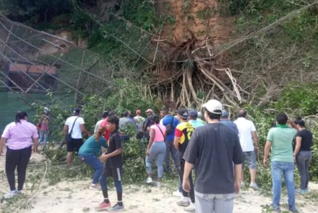 4 niños heridos por la caída de un árbol en un estadio de beisbol en El Hatillo