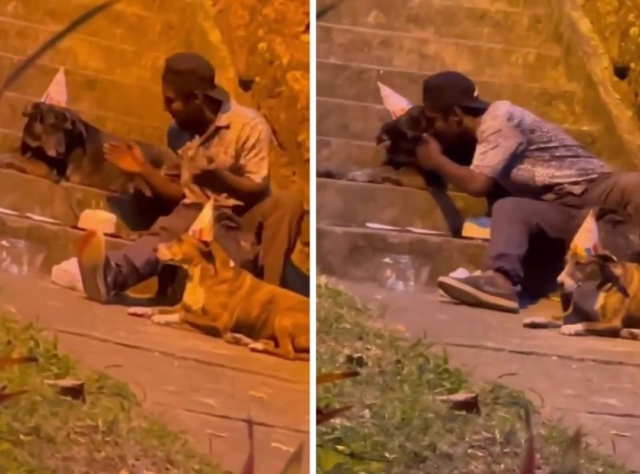 Conmovedor video: hombre en situación de calle le celebró el cumpleaños a sus perros