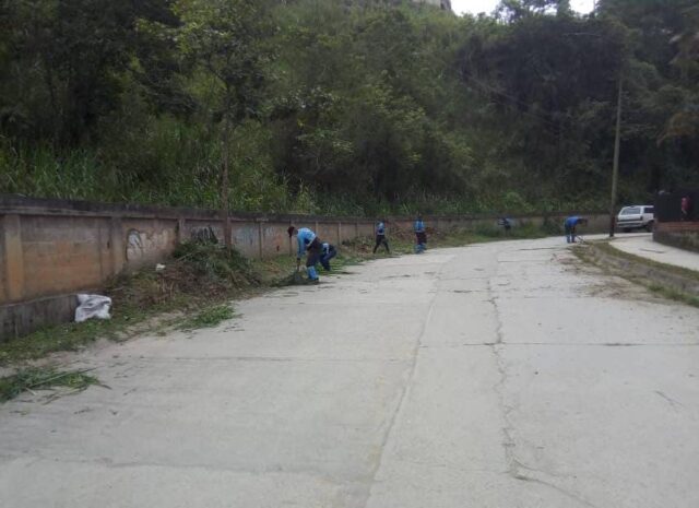 Avanzan trabajos de dragado y desmalezamiento de la Quebrada Carrizal