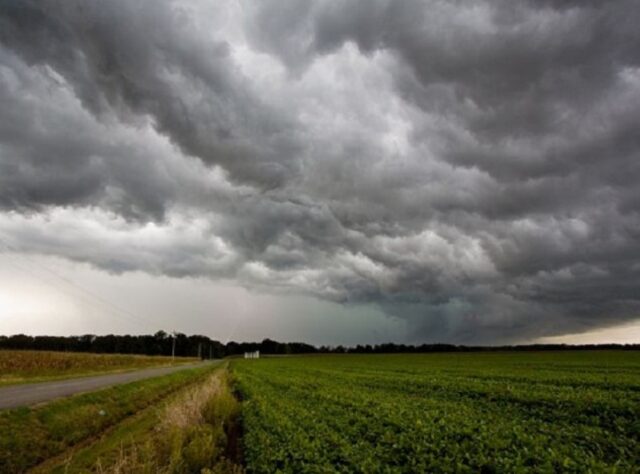 Fedeagro exige medidas por los daños que puedan provocar las lluvias en los campos de producción agrícola