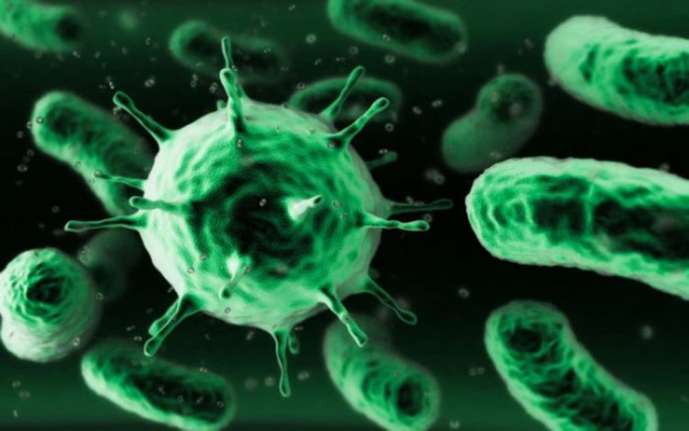 enfermedades-parasitarias-700x438