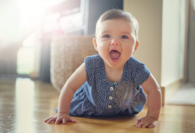 Regresa una nueva edición de Bebé GERBER® en Venezuela