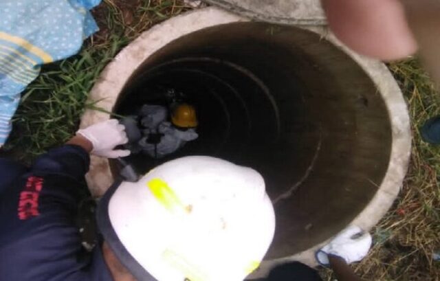 Hallaron el cadáver de una niña de 5 años de edad en un pozo séptico en Carabobo