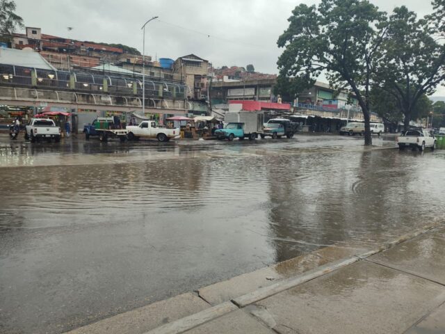 Inundaciones, árboles caídos y fallas eléctricas por lluvias en el país