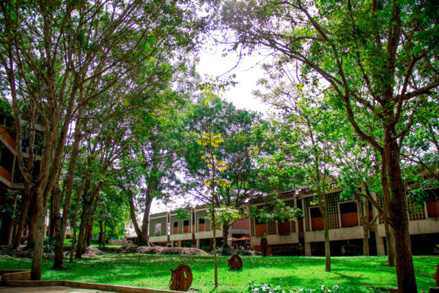 UNIMET es la primera universidad venezolana en unirse a la red de emprendimiento de Babson College