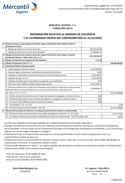 Margen de Solvencia - Mercantil Seguros