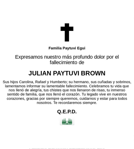 58001 JULIAN PAYTUVI BROWN 150323