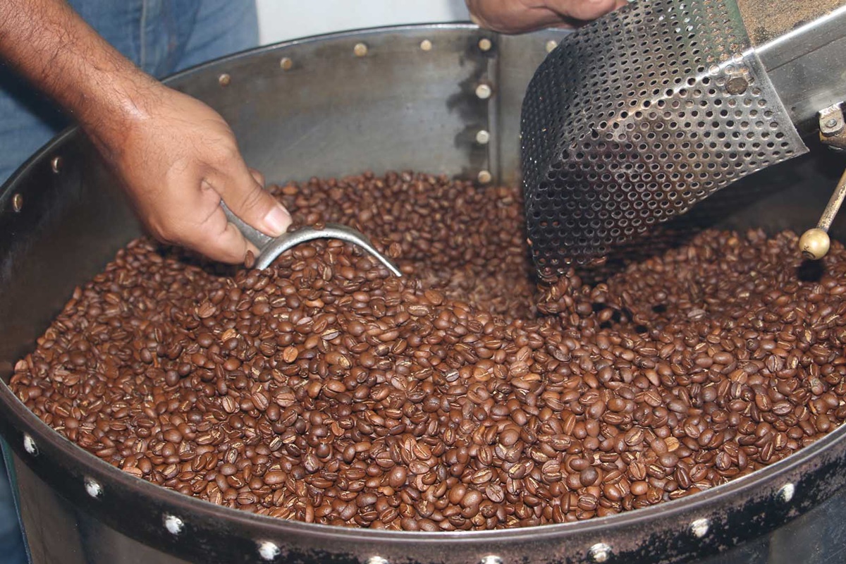 produccion-cafe-