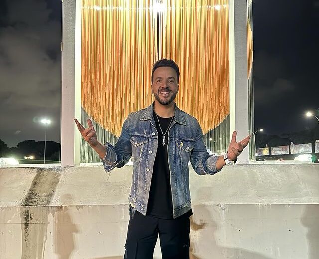 Luis Fonsi finalmente llegó a Venezuela