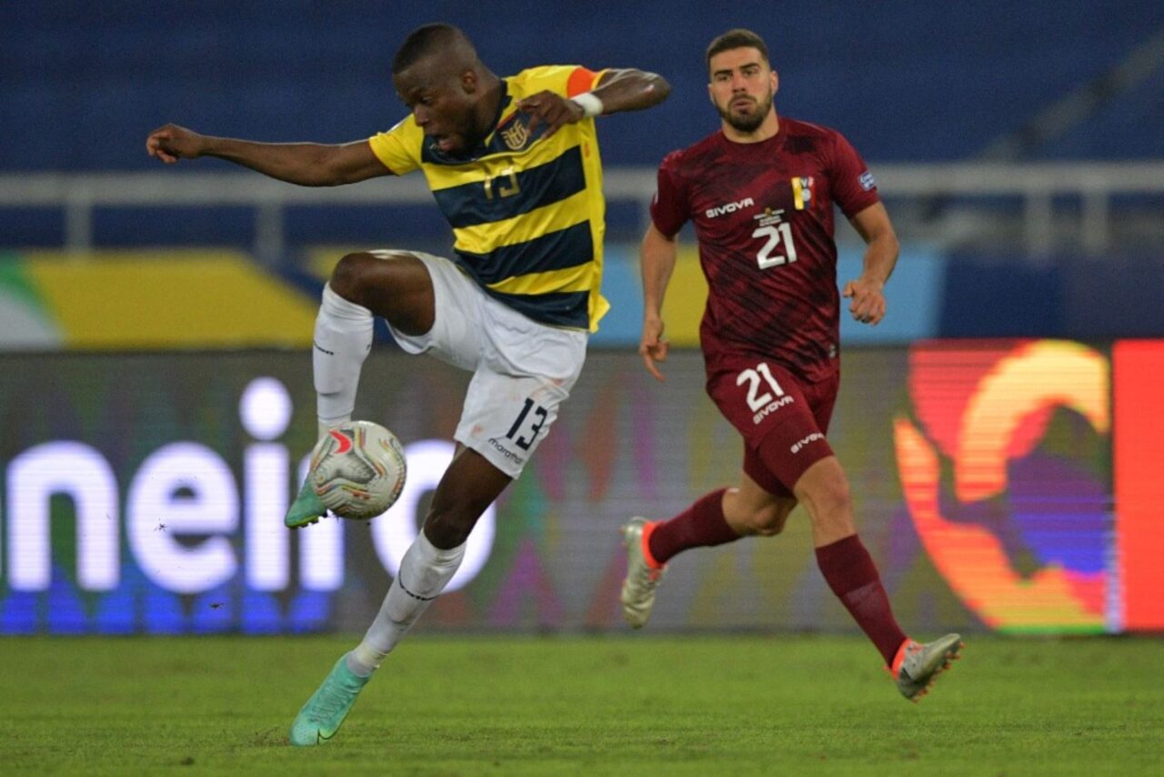 Ecuador Vinotinto bajas