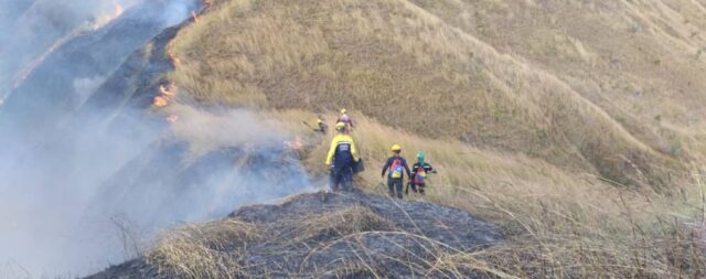 Bomberos combatieron incendio forestal de "gran magnitud" en el parque Henri Pittier