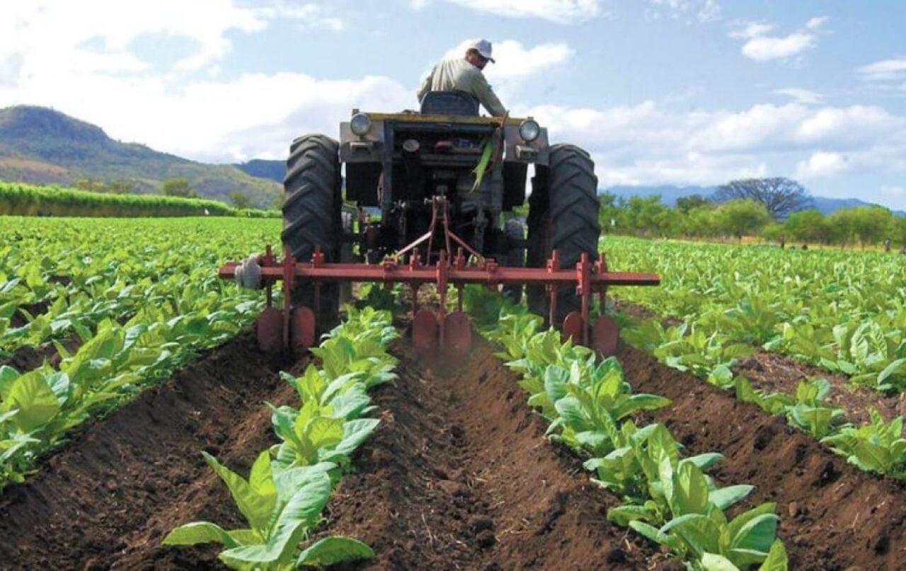 agroindustria-gasoil-cierre-1