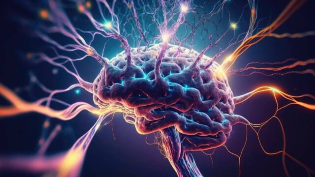 443 millones de años de vida sana "se perdieron" en el mundo por enfermedades neurológicas