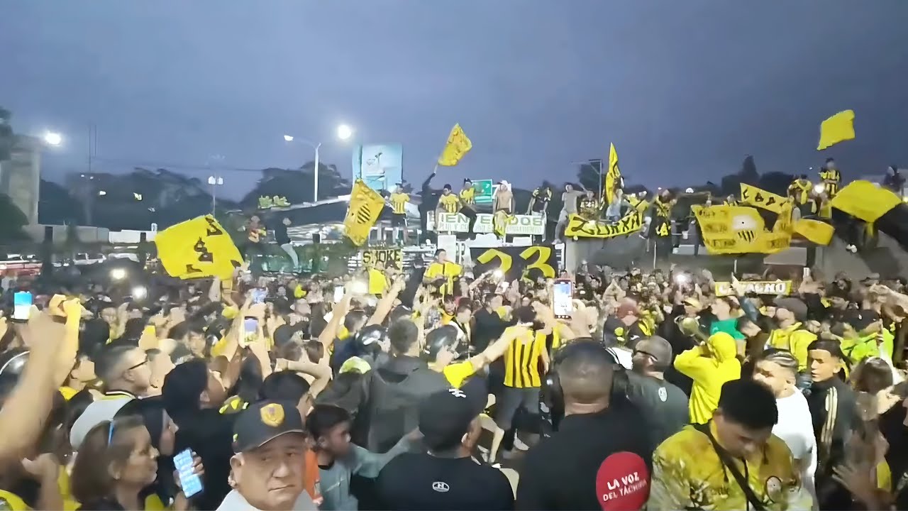 aficionados Deportivo Táchira