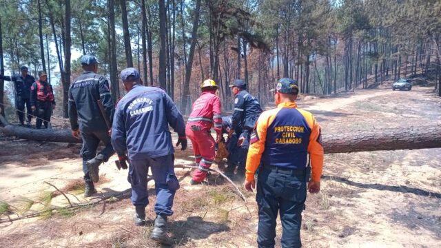 Incendios forestales en Carabobo están controlados en 90%