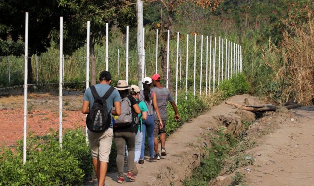 Población venezolana en Estados Unidos aumentó cerca de 600% en 20 años
