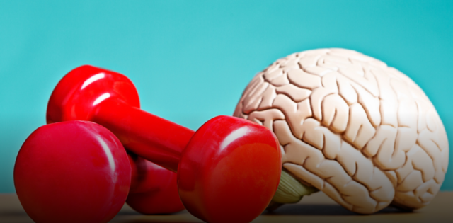 Estos seis hábitos retrasan el envejecimiento del cerebro, según expertos